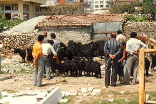 Markt in ALanya