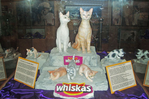 im Katzenmuseum in Kuching