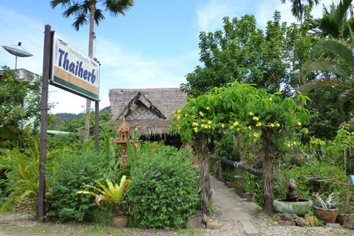 Thai Herbs Restaurant