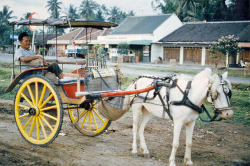 Pferdekutsche am Borobodur