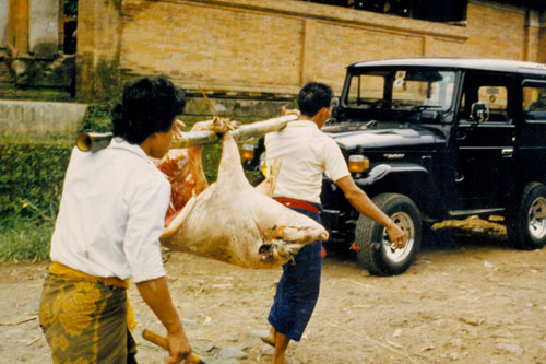 Schweinerei in Denpasar