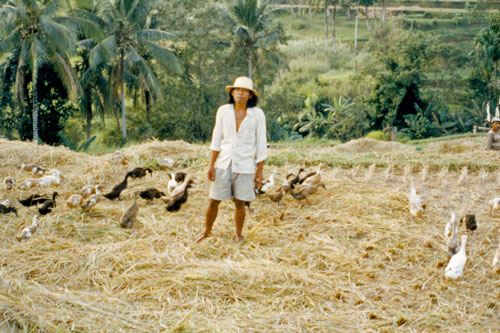 unterwegs zur Goa Gajah