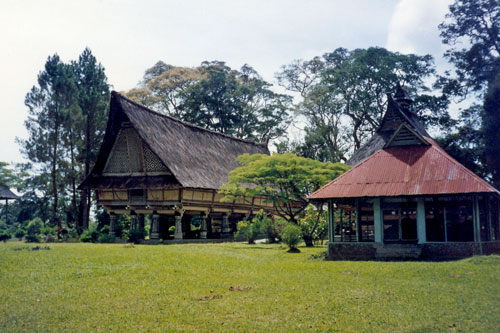 Pematang Purba