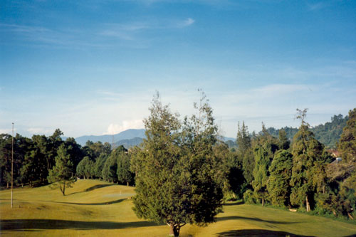 Hotel Bukit Kubu