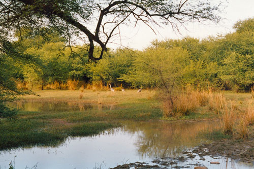 Bharatpur