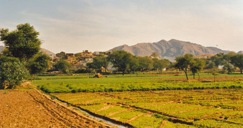 im Zug nach Udaipur