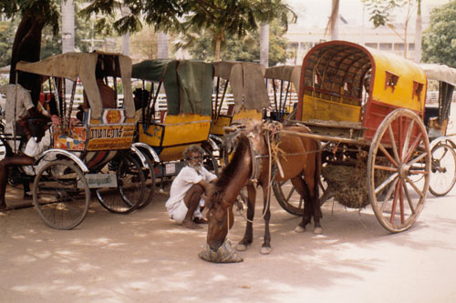 Kutschen in Madurai