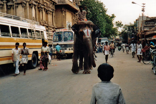 unterwegs in Madurai