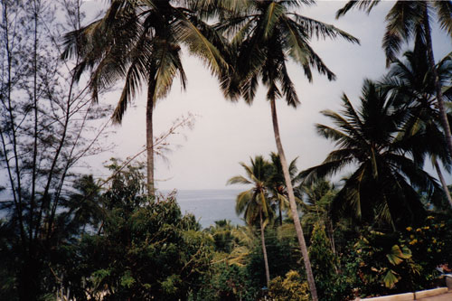 Blick von der Terrasse