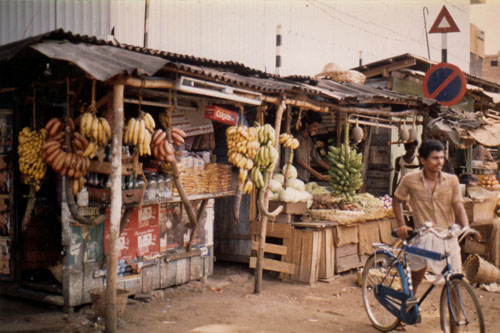 im Dorf Kovalam