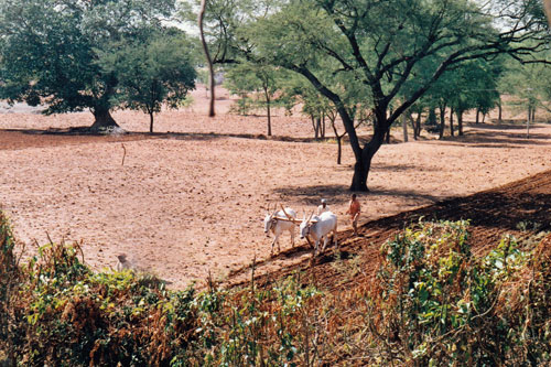 Unterwegs zurück nach Mysore