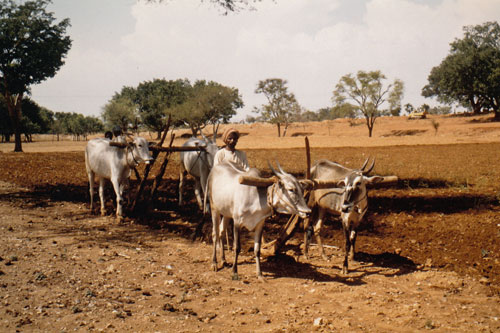 Unterwegs zurück nach Mysore