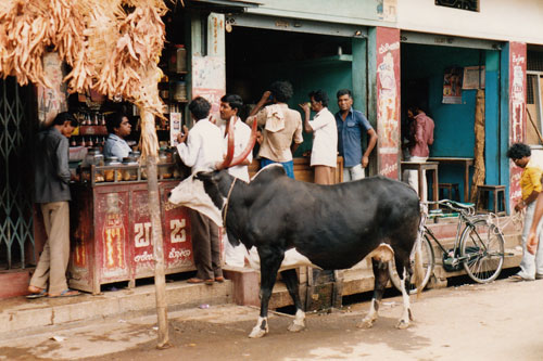 unterwegs in Mysore