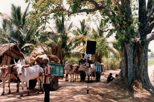 unterwegs nach Bangalore