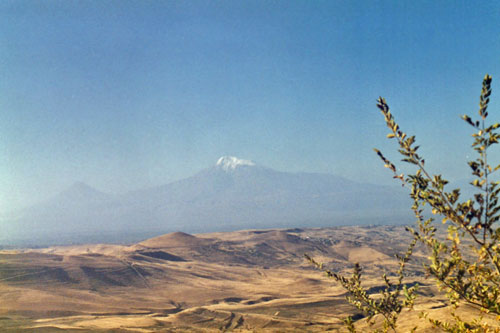 Blick auf den Ararat