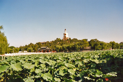 Bei Hai Park