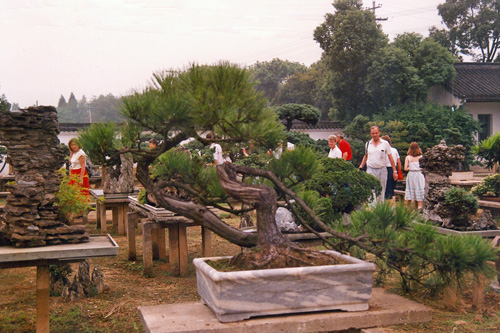 Botanischer Garten in Hangzhou