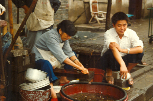 Schlangen huten in Chongqing