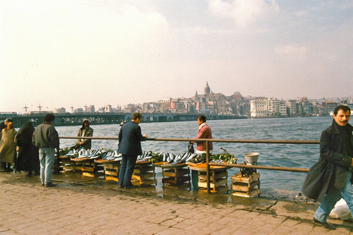 Galata Brcke und Galataturm Istanbul