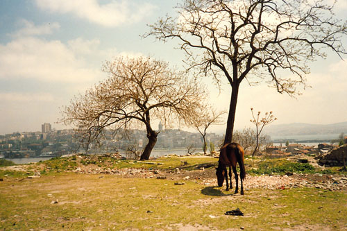 irgendwo im Stadtteil Fatih Istanbul