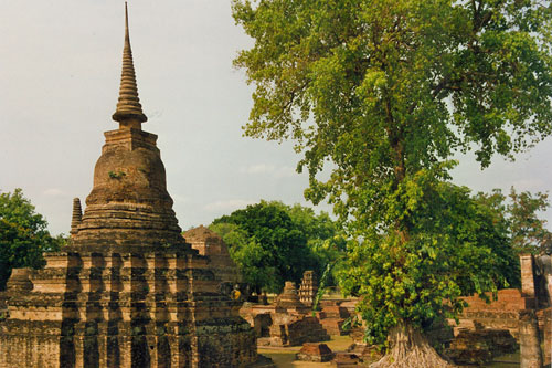 Wat Mahatat Old Sukhothai