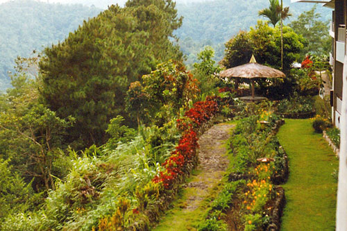 Garten im Hotel in Banaue