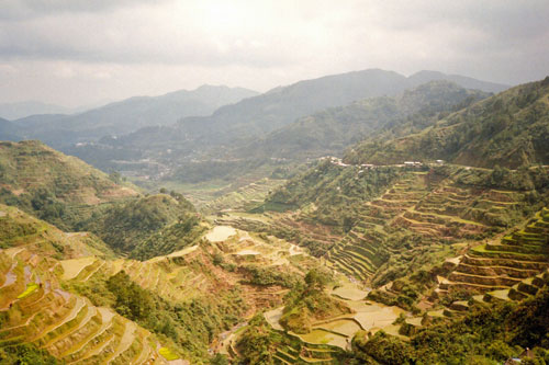 Reisterrassen bei Banaue