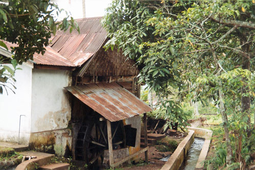 Kaffeemhle in Sungai Tarap