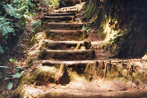 auf dem Weg zum Krater des Tangkubahun Prahu bei Bandung