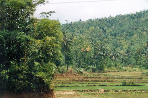 Fahrt nach Yogyakarta