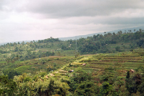 Rckfahrt von Bedugul nach Sanur