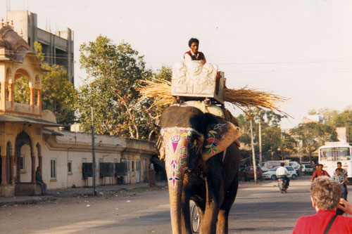 unterwegs in Jaipur