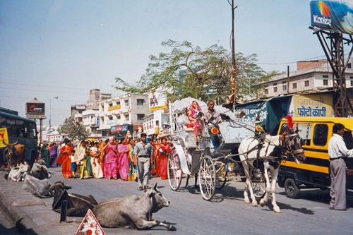 Hochzeit in Udaipur