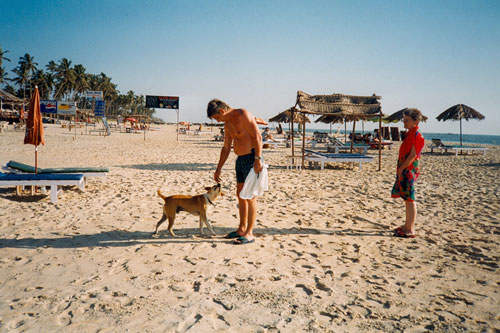 Der Strand von Colva