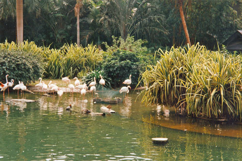 Park in Kowloon