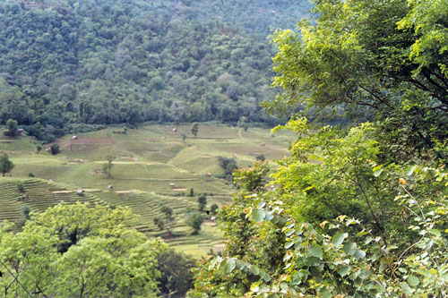 auf der Rckfahrt nach Kandy