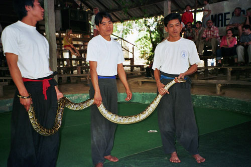 Schlangenfarm