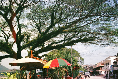 Strasse in Luang Prabang