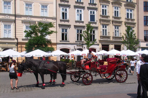 Kutsche auf dem Marktplatz