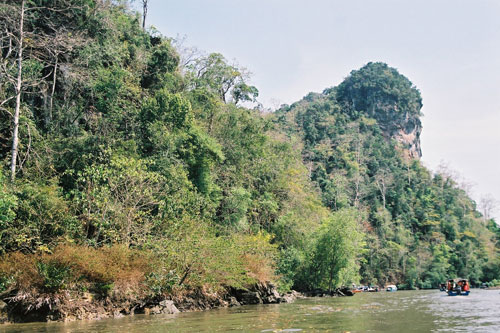 Mangrovenfahrt auf Langkawi