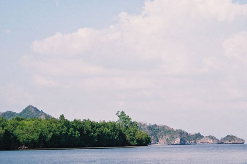 Mangrovenfahrt auf Langkawi