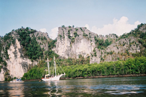 Mangrovenfahrt auf Langkawi