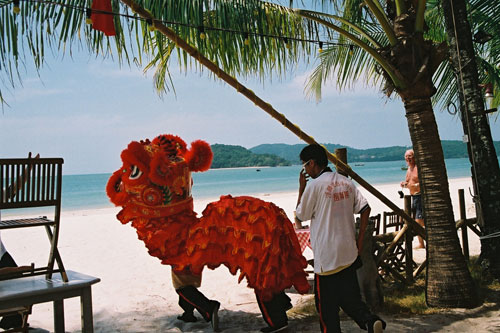 Chinese New Year Lions Dance