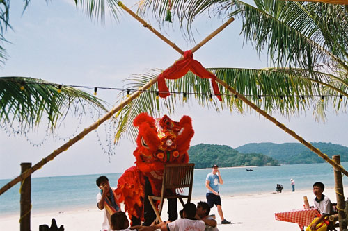 Chinese New Year Lions Dance