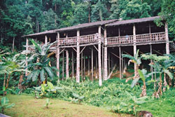 Orang Ulu Longhouse