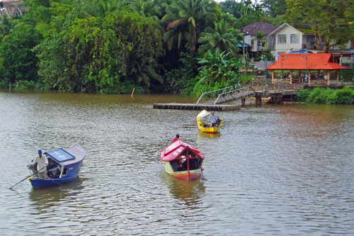 kleine Fhren auf dem Sarawak Flu