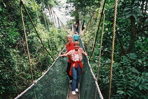 Canopy Walk