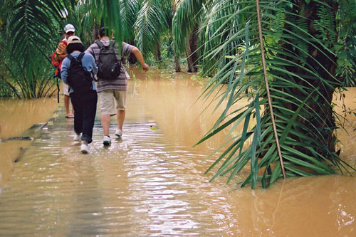 Klias Wetlands