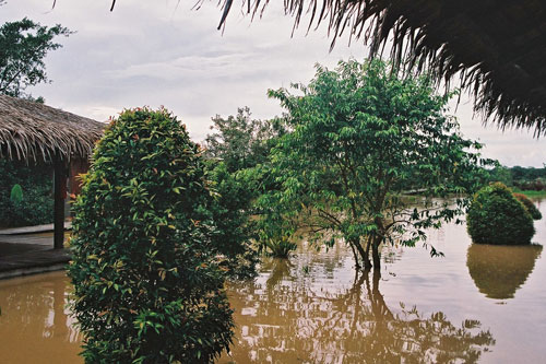 Klias Wetlands