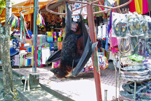 Markt in Tanah Lot